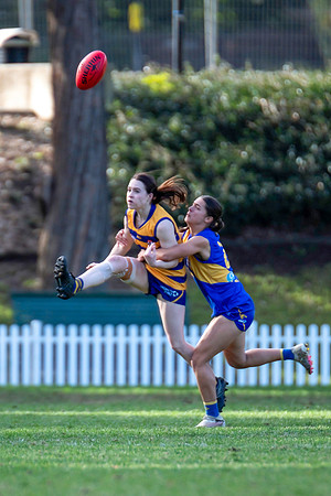 Rd 12 WPD - Sydney Uni v East Coast - 5 July 2025