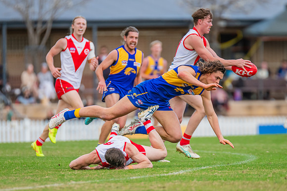 Rd 17 MPD - East Coast v St George - 17 August 2024