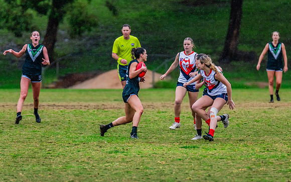 Rd 6 WPD - UTS v Pennant Hills - 11 May 2024