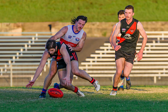 Rd 6 MPD - UNSW ES v North Shore - 14 May 2022