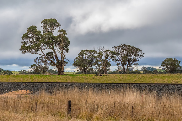 Overcast Winter Australian Country Landscape