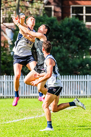 Rd 8 MPD - UTS v SWS - 31 May 2025