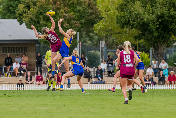 Rd 1 WPD - East Coast v Manly-Warringah - 1 April 2023