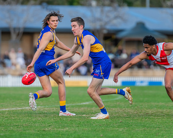 Rd 17 MPD - East Coast v St George - 17 August 2024