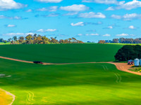 Spring Crops in the NSW Central West Countryside