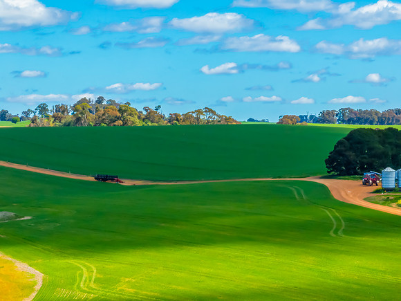 Spring Crops in the NSW Central West Countryside