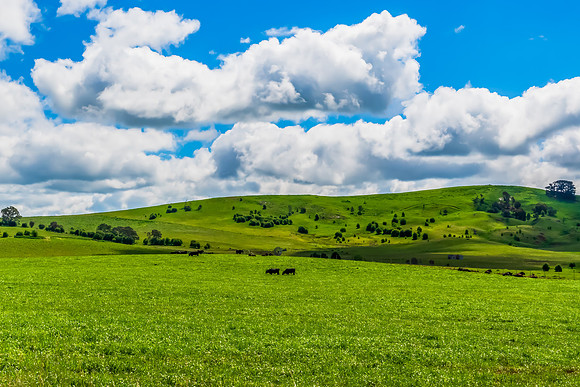 A Spring day in the green and hilly Central West NSW countryside