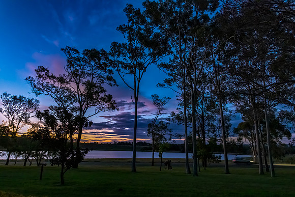 Sunset early evening sky through the trees