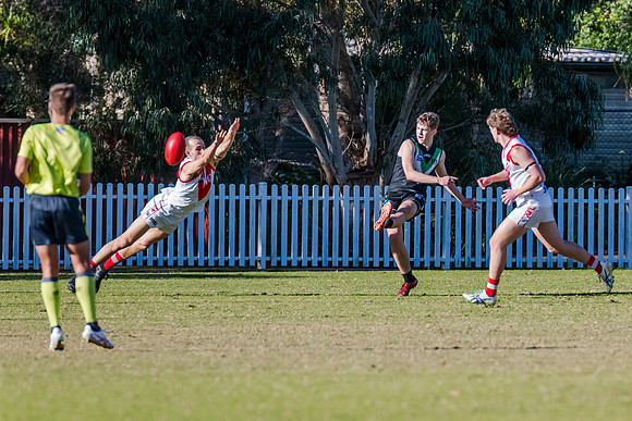 Rd 11 MPD - St George v UTS - 24 June 2023