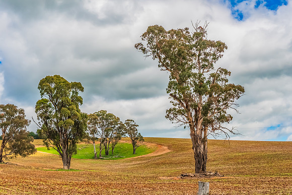 A Spring day in the green and hilly Central West NSW countryside