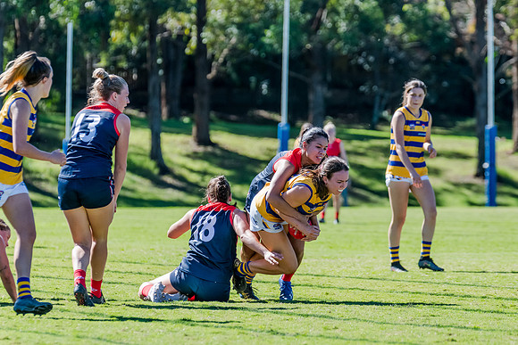 Rd 2 WPD - Pennant Hills v Sydney Uni - 15 April 2023