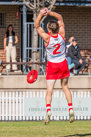 Rd 17 MPD - East Coast v St George - 17 August 2024