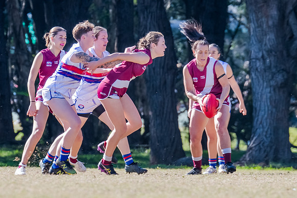 Rd 10 WPD - Manly-Warringah v UNSW-ES - 17 June 2023