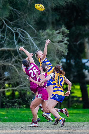 Rd 17 WPD - Manly Warringah v Sydney Uni - 16 August 2025