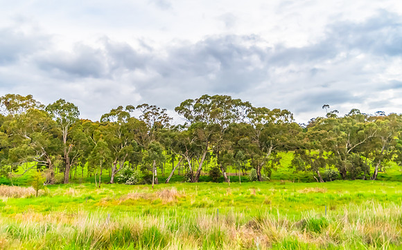 Spring landscape in the countryside with rain clouds