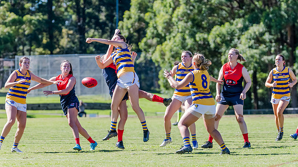 Rd 2 WPD - Pennant Hills v Sydney Uni - 15 April 2023