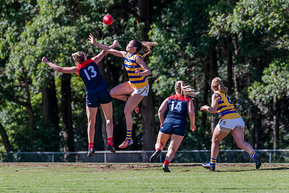 Rd 2 WPD - Pennant Hills v Sydney Uni - 15 April 2023