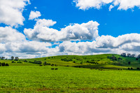 A Spring day in the green and hilly Central West NSW countryside