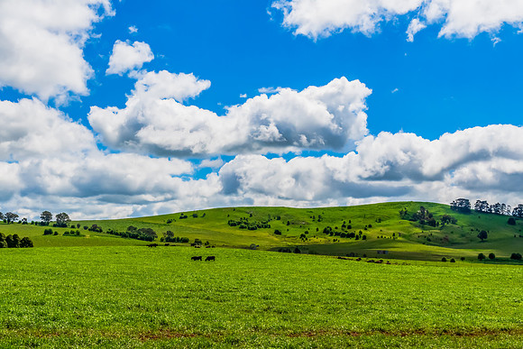 A Spring day in the green and hilly Central West NSW countryside