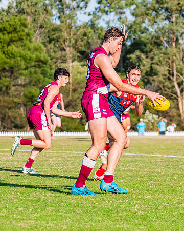 MPD Preliminary Final - Pennant Hills v Manly-Warringah - 14 Sep