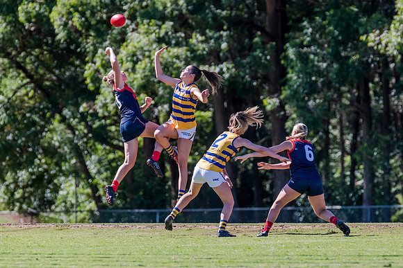 Rd 2 WPD - Pennant Hills v Sydney Uni - 15 April 2023