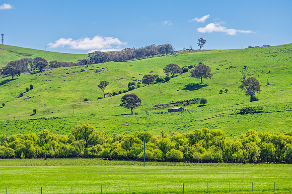 A Spring day in the green and hilly Central West NSW countryside
