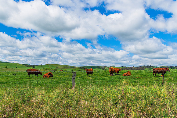 A Spring day in the green and hilly Central West NSW countryside