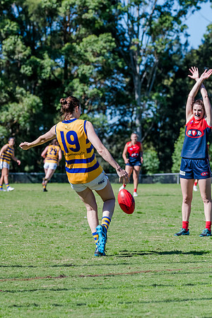 Rd 2 WPD - Pennant Hills v Sydney Uni - 15 April 2023