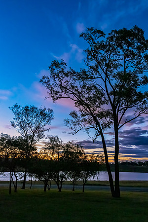 Sunset early evening sky through the trees