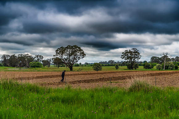Farmer and rural landscapes on an overcast Spring day in the Cen