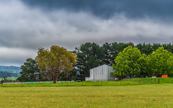 Rural landscapes on an overcast Spring day in the Central Tablel