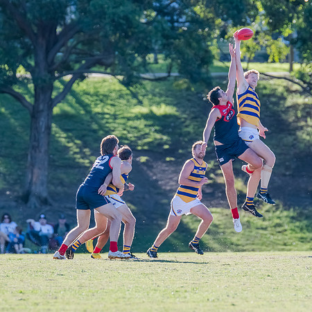 Rd 2 MPD - Pennant Hills v Sydney University - 15 April 2023
