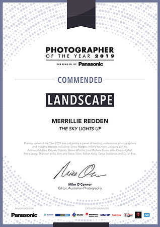2019 Photographer of the Year - Commended