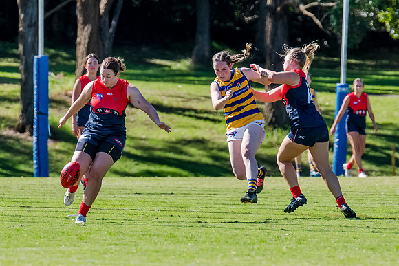 Rd 2 WPD - Pennant Hills v Sydney Uni - 15 April 2023