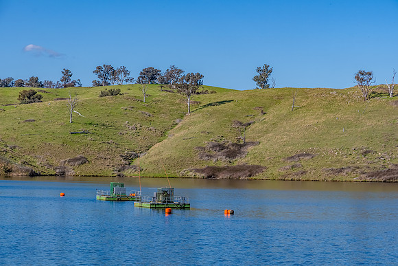 Calm Waters and Rural Hills at Chifley Dam