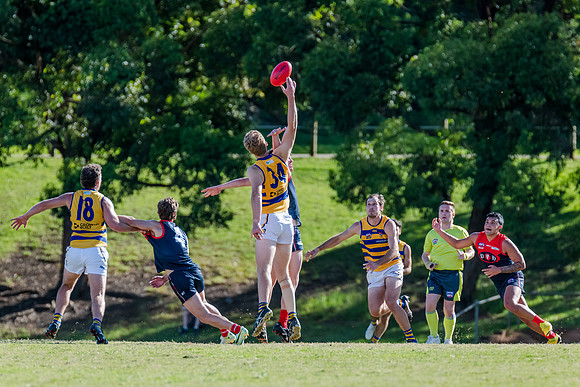 Rd 2 MPD - Pennant Hills v Sydney University - 15 April 2023