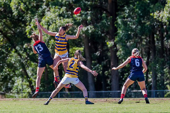 Rd 2 WPD - Pennant Hills v Sydney Uni - 15 April 2023