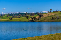 Calm Waters and Rural Hills at Chifley Dam