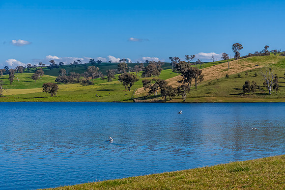 Calm Waters and Rural Hills at Chifley Dam
