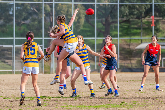 Rd 14 WPD - Pennant Hills v Sydney Uni - 16 July 2022