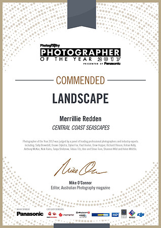 2017 Photographer of the Year - Commended