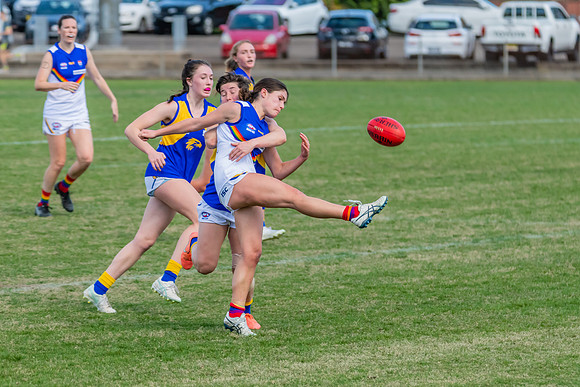 WPD Preliminary Final - East Coast v Sydney University - 21 Augu
