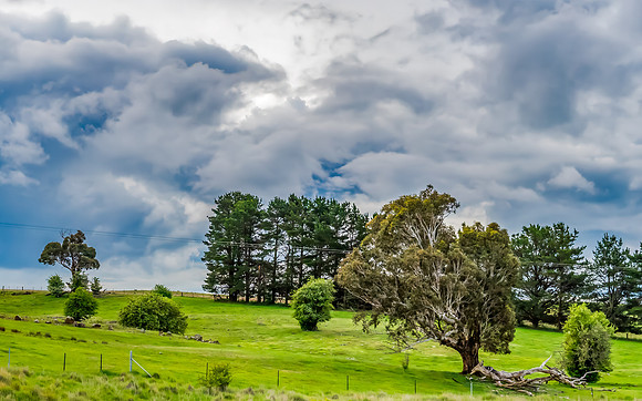 Spring landscape in the countryside with rain clouds