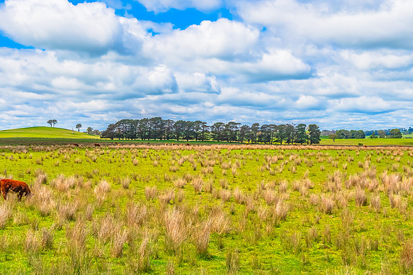 A Spring day in the green and hilly Central West NSW countryside