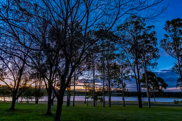 Sunset early evening sky through the trees