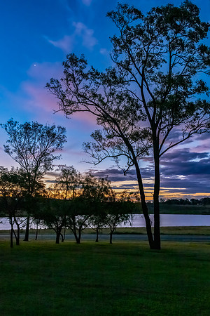 Sunset early evening sky through the trees