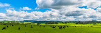 A Spring day in the green and hilly Central West NSW countryside
