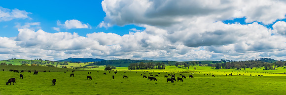 A Spring day in the green and hilly Central West NSW countryside