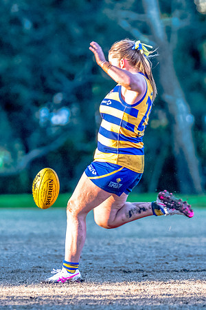 Rd 17 WPD - Manly Warringah v Sydney Uni - 16 August 2025