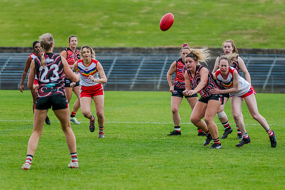 Rd 9 WD4 - Newtown v Randwick - 4 June 2023